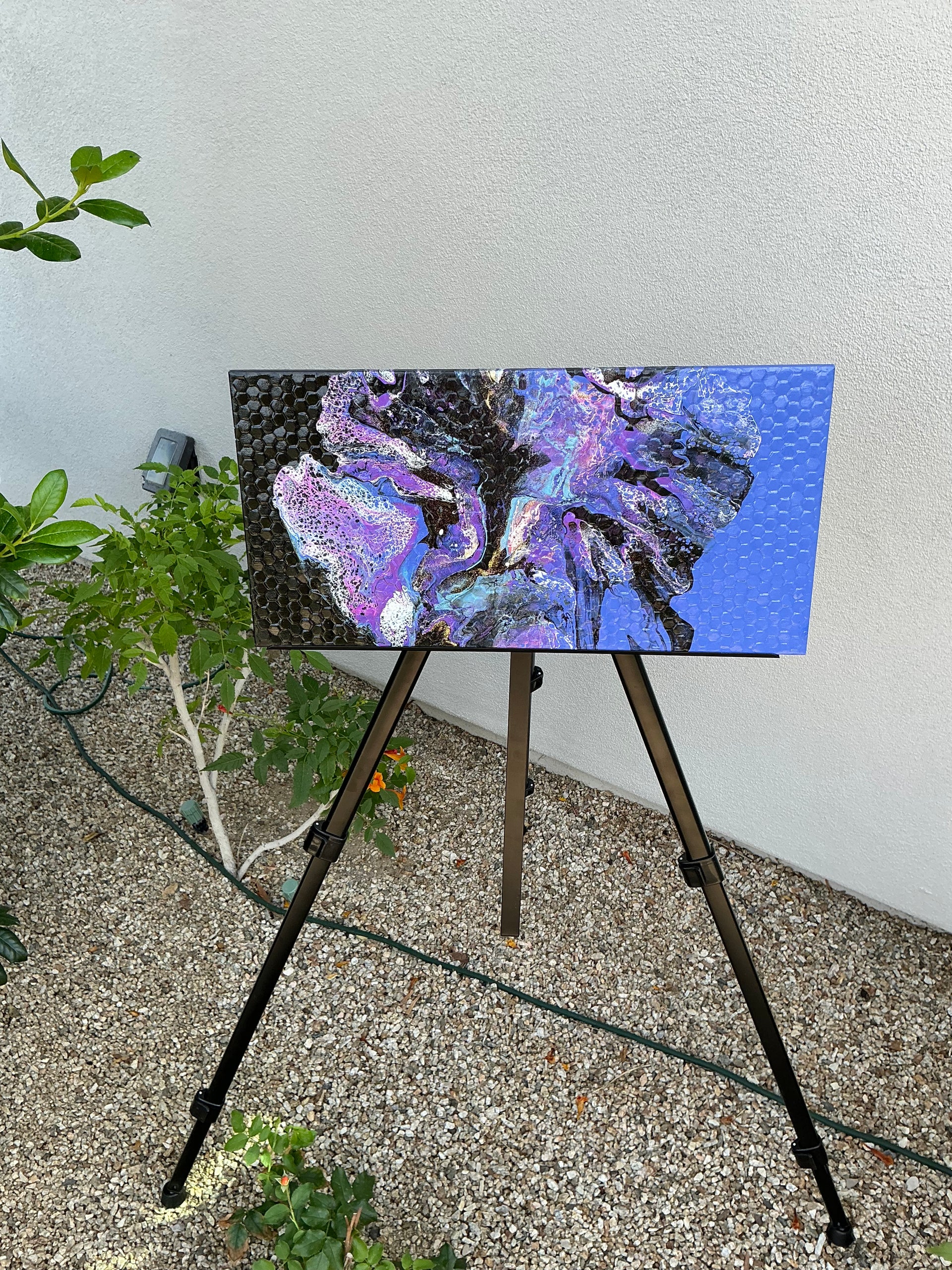 “Cosmos”