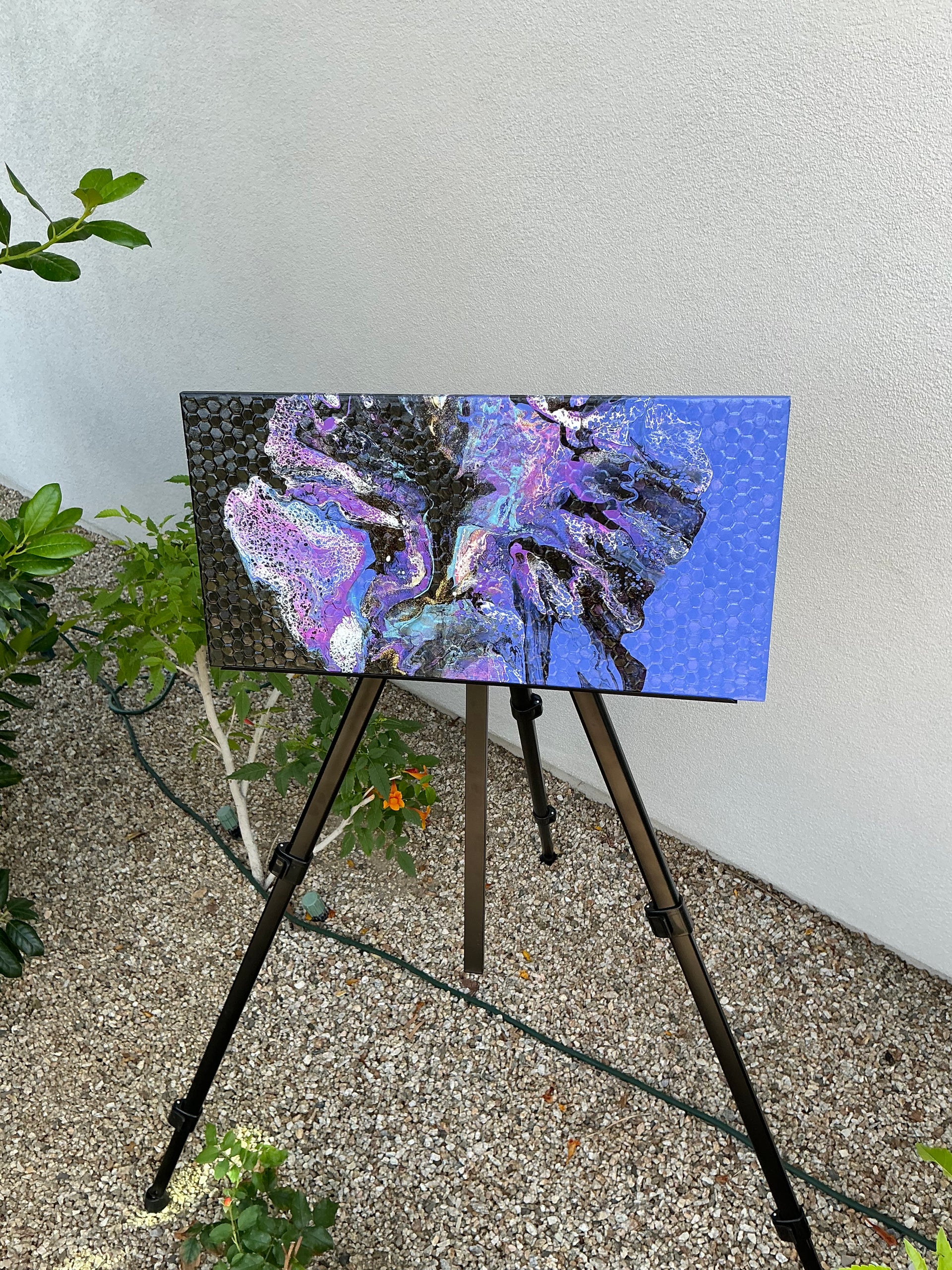 “Cosmos”